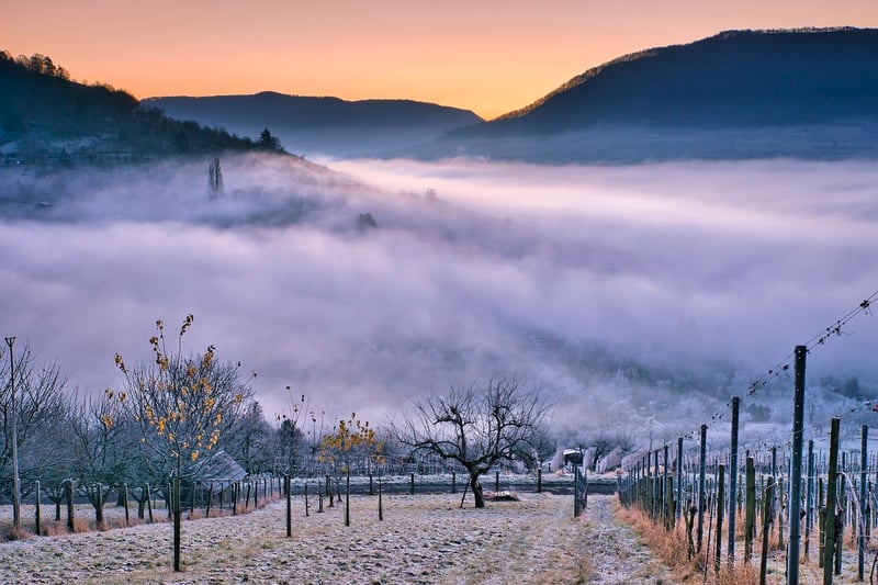 Napa Valley, USA